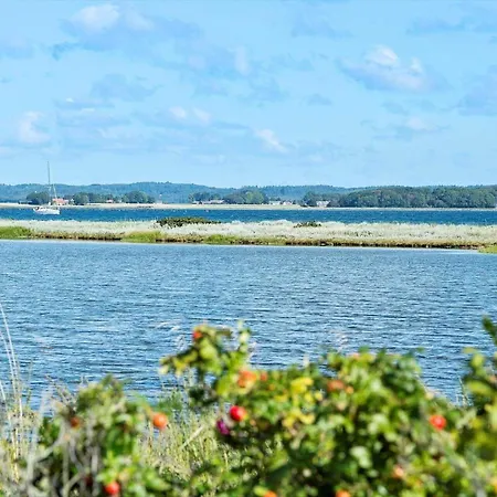 40341-juelsminde-hamborg-86 * Sonderby (Midtjylland)